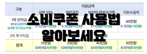 소비쿠폰 사용법 알아보세요