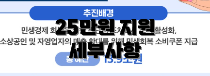 25만원 지원 세부사항