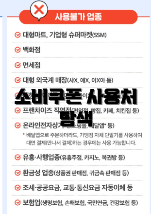 소비쿠폰 사용처 탐색