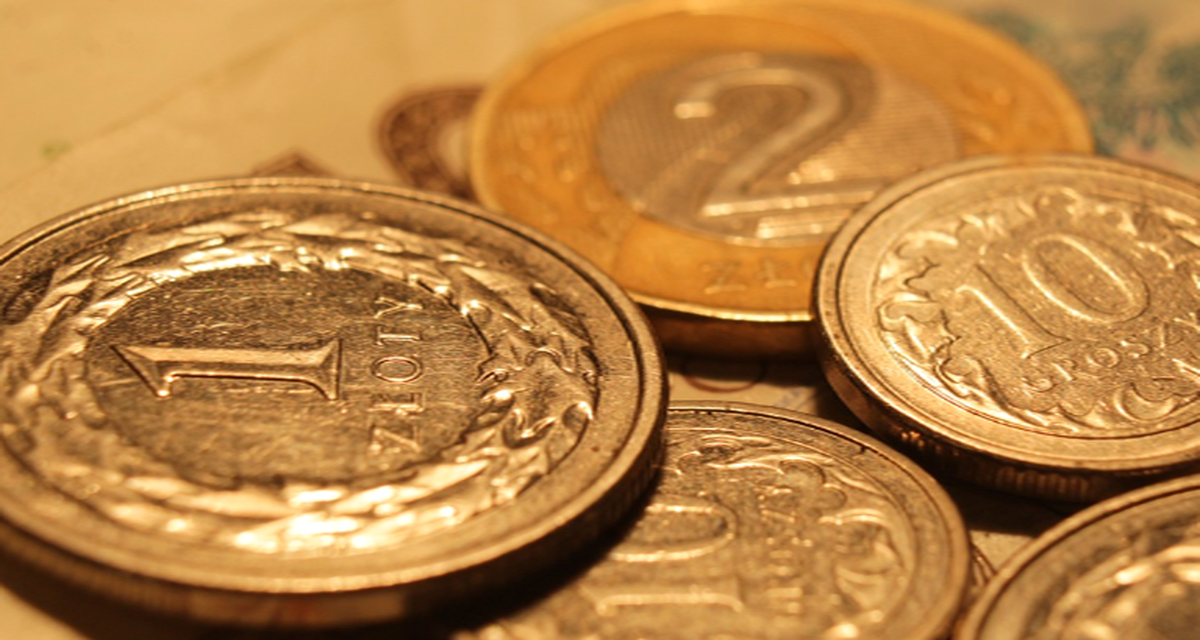 체험농장 직접 구매의 경제성