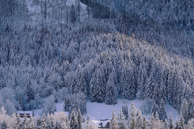 실생활 적용 팁