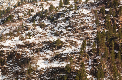 멀티프로필 주의사항 실생활 예시