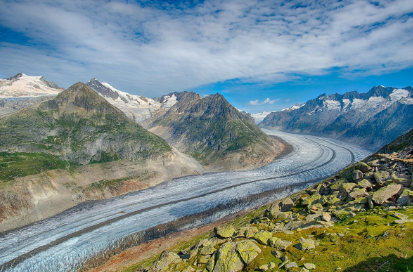 서비스 한눈에 보는 정리: 생활 예시