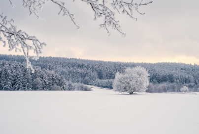 서비스 한눈에 보는 정리: 확장 노하우