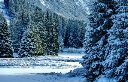 실생활 예시와 즉시 팁